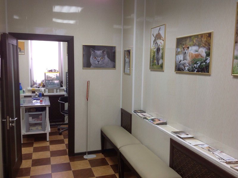 Фото клиники