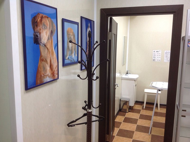 Фото клиники