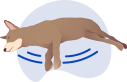 Судороги