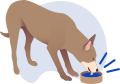 Отеки